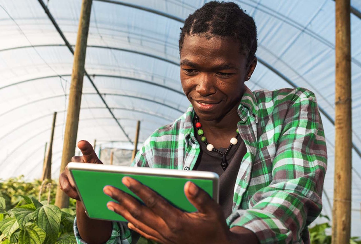 young-male-farmer-in-agriculture-greenhouse